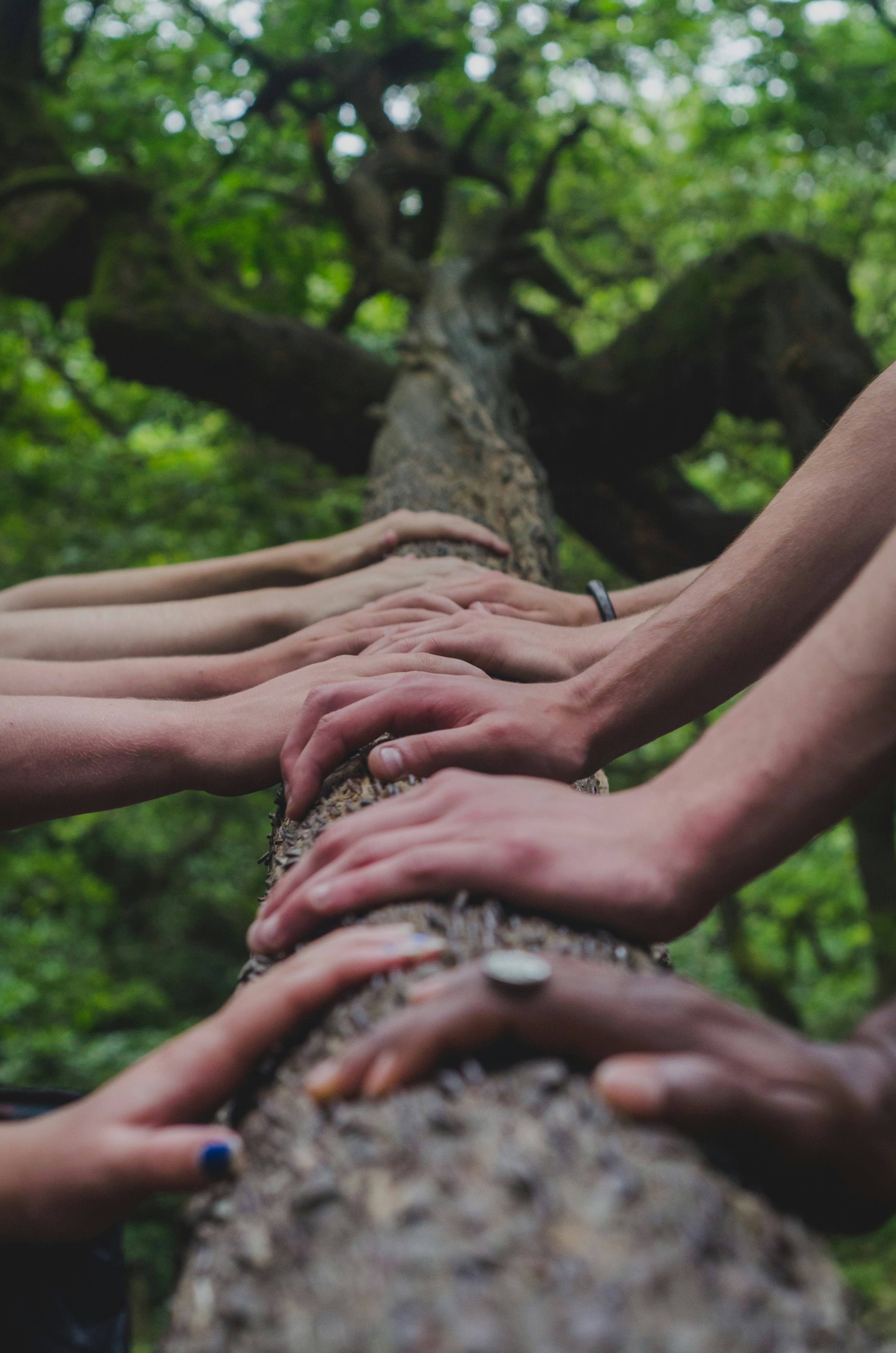 Community Wellness Projects.image